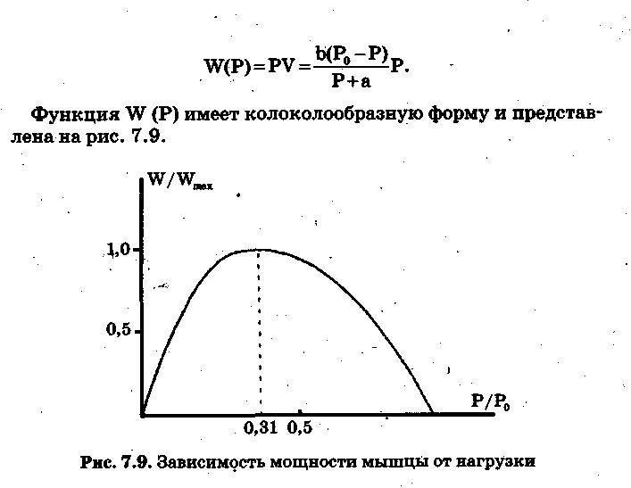 Мощность и скорость сокращения мышц. Зависимость между силой и скоростью сокращения мышцы. Зависимость работы мышц от величины нагрузки. Взаимосвязь между силой и скоростью мышечного сокращения. Зависимость силы сокращения от скорости мышечного сокращения.
