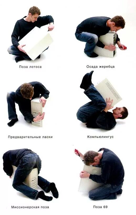 позы для занятий. самые популярные позы. правильная поза доги стаил. экападахаста марджариасана 2. позиция догги.