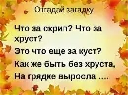 Осенние вопросы