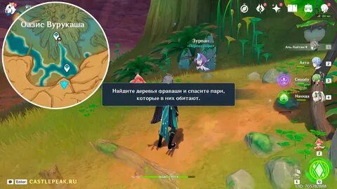 Оазис вурукаша