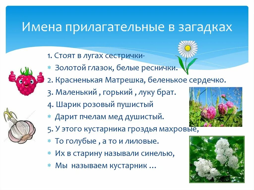 Пестрою имя прилагательное. Проект по русскому яз имена прилагательные в загадках 3 класс. Проект по русскому языку 3 класс имена прилагательных в загадках. Проект 3 класс русский язык загадки с именами прилагательными. Загадки по русскому языку 3 класс с ответами именами прилагательными.