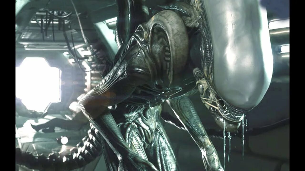 Чужой alien isolation model. Ксеноморф самка королева 18. Ксеноморф солдат. Прометей чужой ксеноморф. Видео чужой 18.