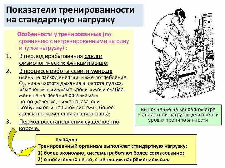 Показатели тренированности при выполнении стандартных. Показатели уровня тренированности. Показатели тренированности при стандартных нагрузках кратко. Показатели тренированности в покое. Повышение тренированности