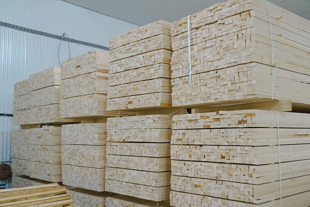 Ооо эксперт-проект компания. Forest group. Forest group. Forest group. Логотип лес.