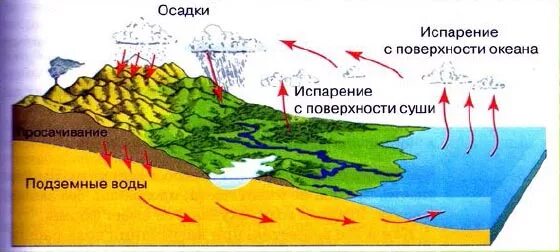 испарение воды с поверхности. роль испарения в природе. испарение суши. испарение суши. гидросфера круговорот воды в природе 6 класс.