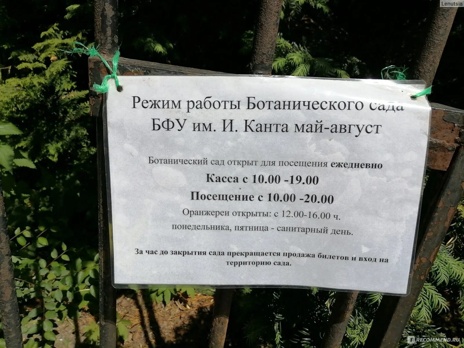 График работы ботанического