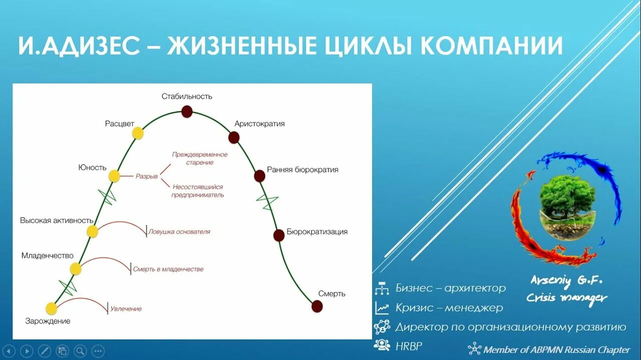 Адизес управление жизненным. Ицхак Адизес жизненный цикл компании. Адизес стадии жизненного цикла. Стадии жизненного цикла компании по Адизесу. Адизес жизненный цикл организации.