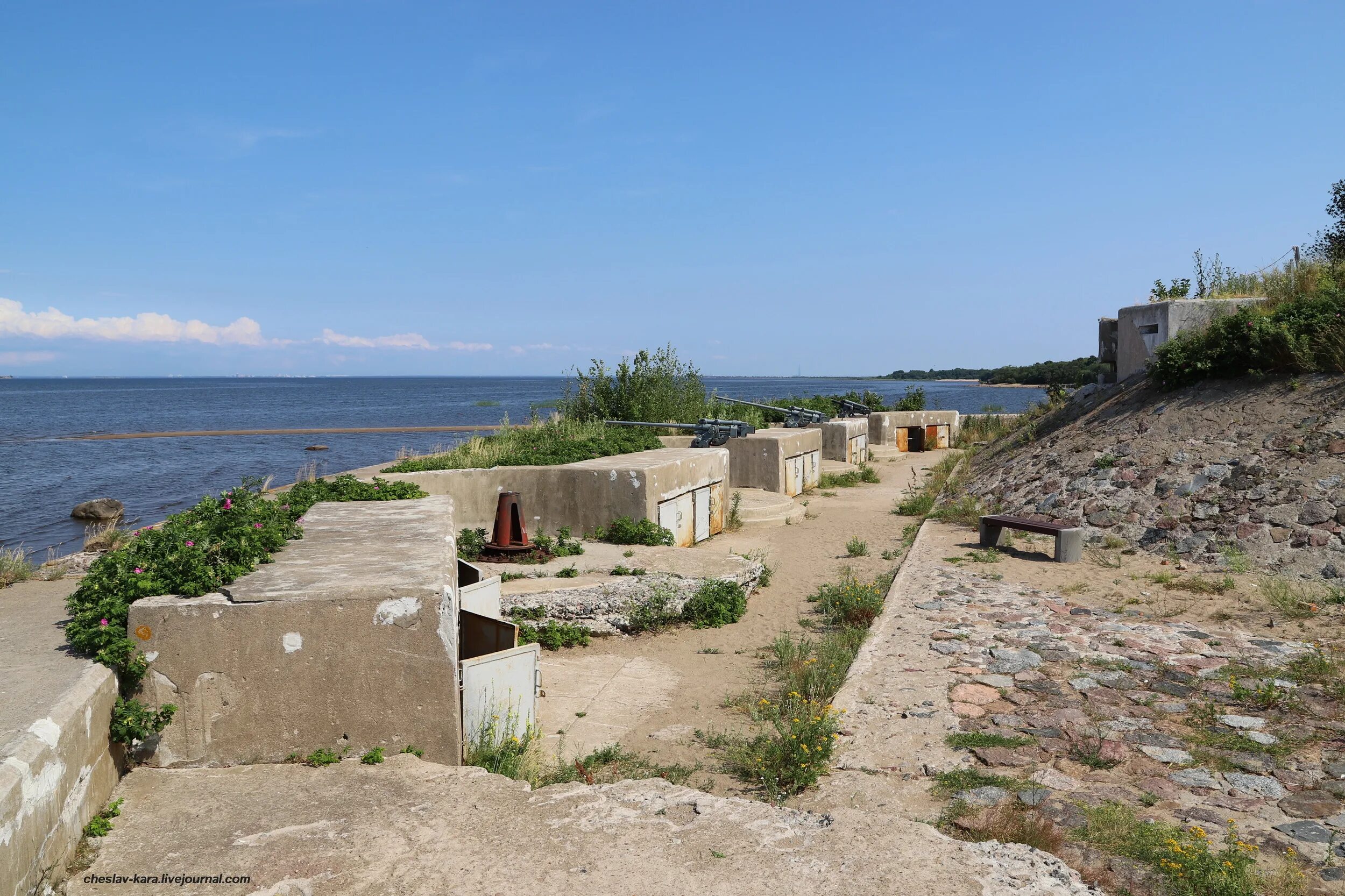 Форт риф в Кронштадте. Остров Котлин Форт риф. Западный Котлин Форт риф. Остров риф Кронштадт. Остров фортов адрес