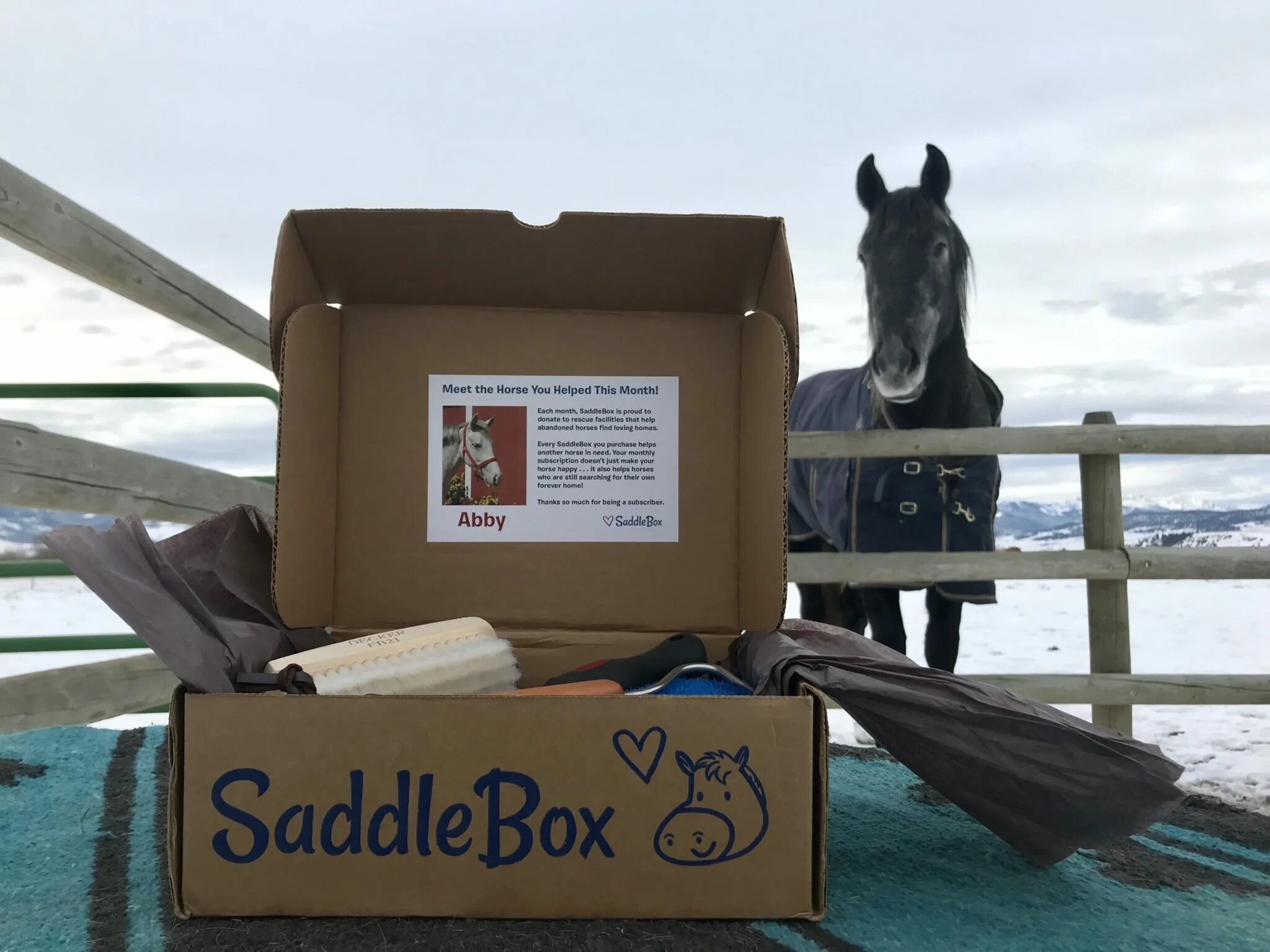 Horse gift. Horses box. Horses box. Хорс бокс. Хорс бокс для лошадей.