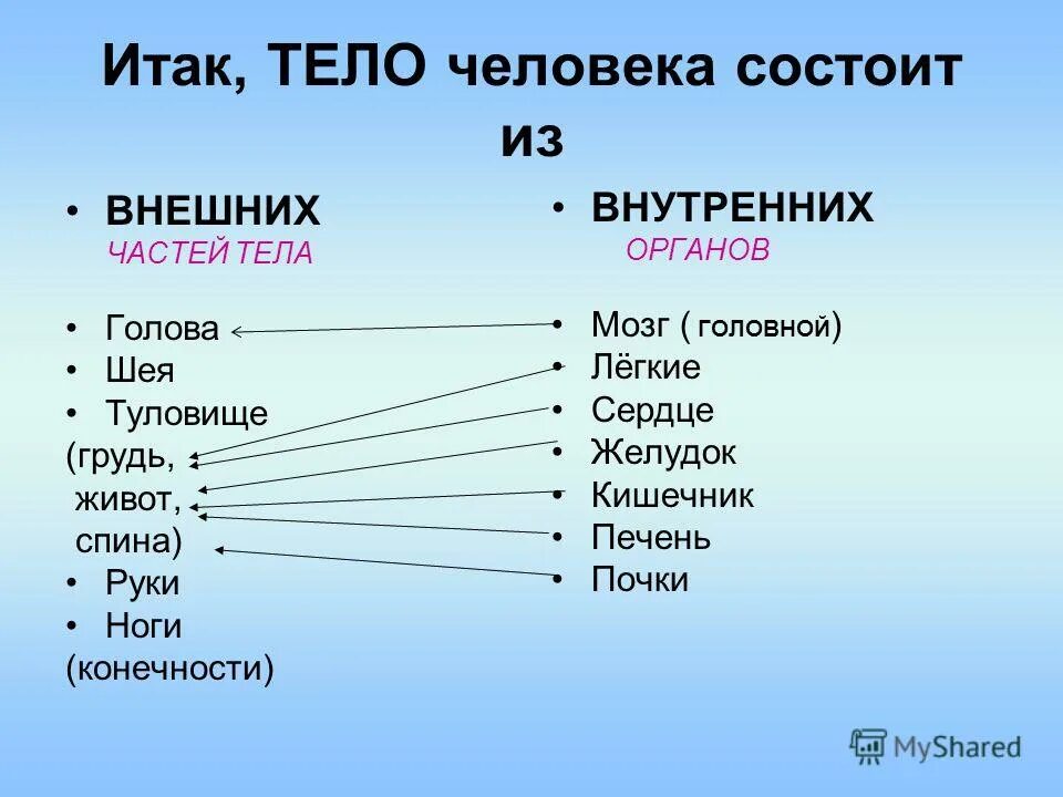 Из чего состоит тело человека. ИС чево состоит человек. ЦЗ чего состоитселовек. Из чего состоит человек. Сложный организм состоящий из