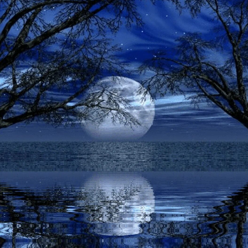 Доброй ночи природа пожелание. Спокойной ночи полнолуние. Доброй ночи пейзаж. Лунная ночь. Лунный пейзаж.