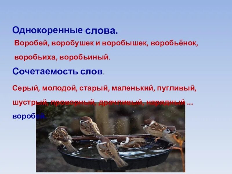 Воробьев речь