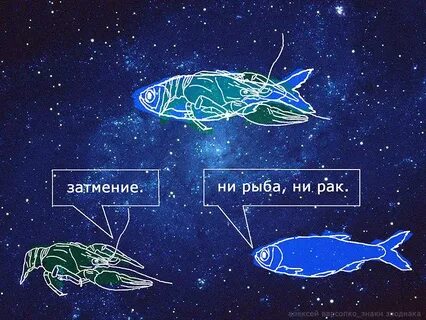 Вместе с рыбкой