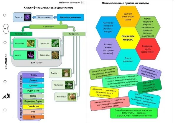 Биология 5 краткое содержание. Программа по биологии 5 класс. Аналитический обзор программ и учебников по биологии. Темы мастер классов по биологии. Биология 5 класс карточки.