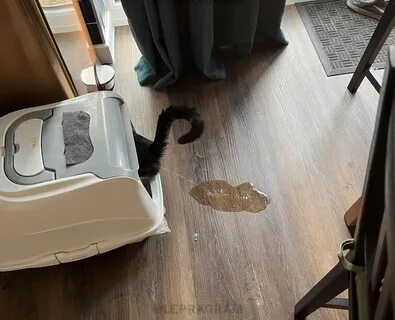 Проста и интуитивно понятна