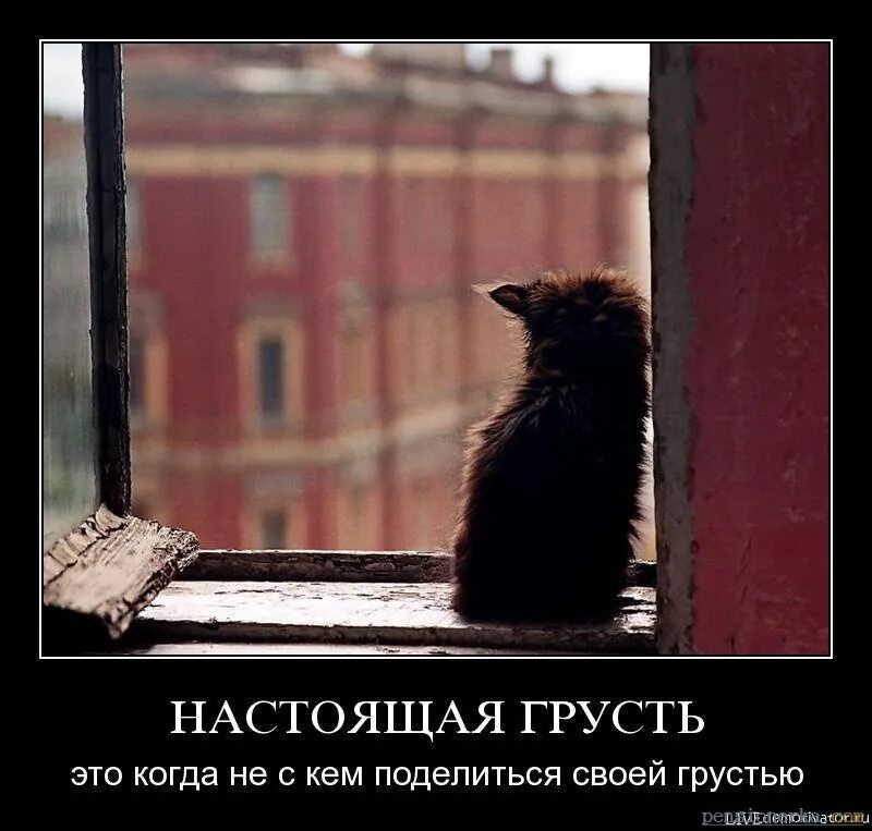 День довольных одиночеством