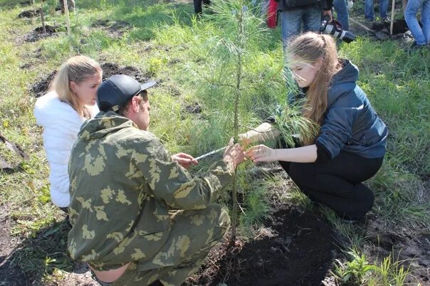 Лесное и лесопарковое хозяйство. Работа лесопарковое хозяйство. Лесное хозяйство. Профессии лесничества. Лесопарковое хозяйство.