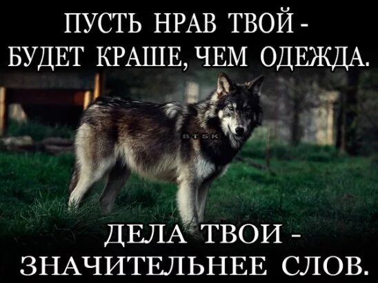 Ким по литературе егэ 2022. Пусть нрав твой будет. Показывал нрав. Показывал нрав. Замысел и композиция романа евгений онегин.