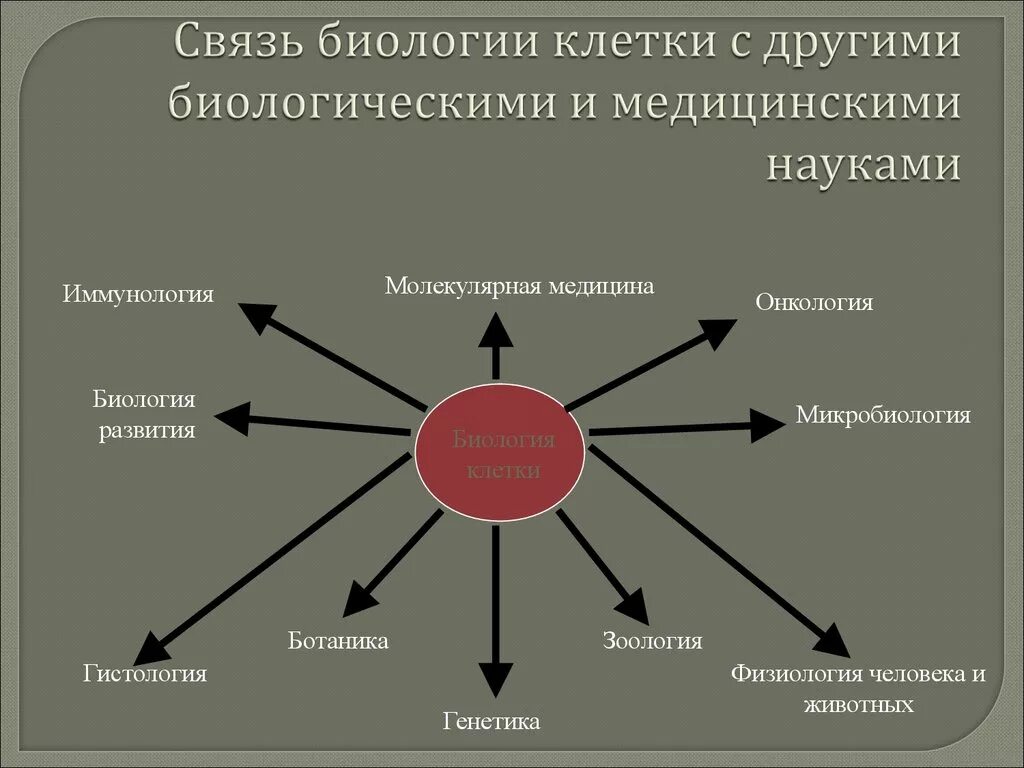 Связь биологии с другими