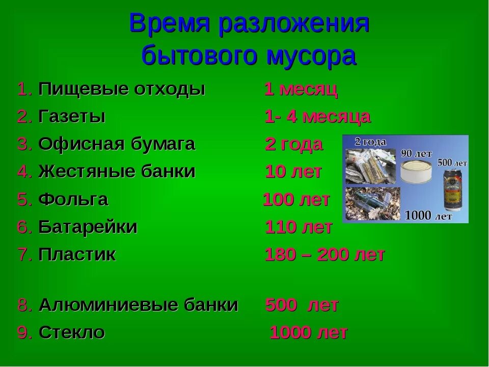 Через сколько разлагается