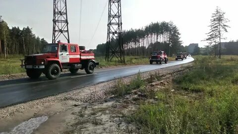 Читинское лесничество