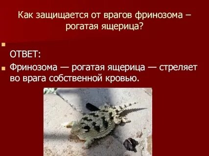 Отбиваться от врагов