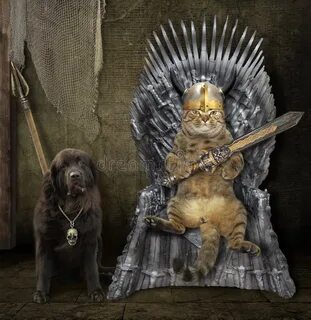 Котенок на троне в аду