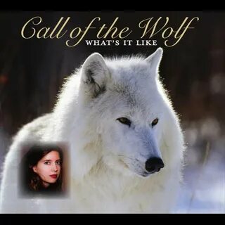 Captain wolf