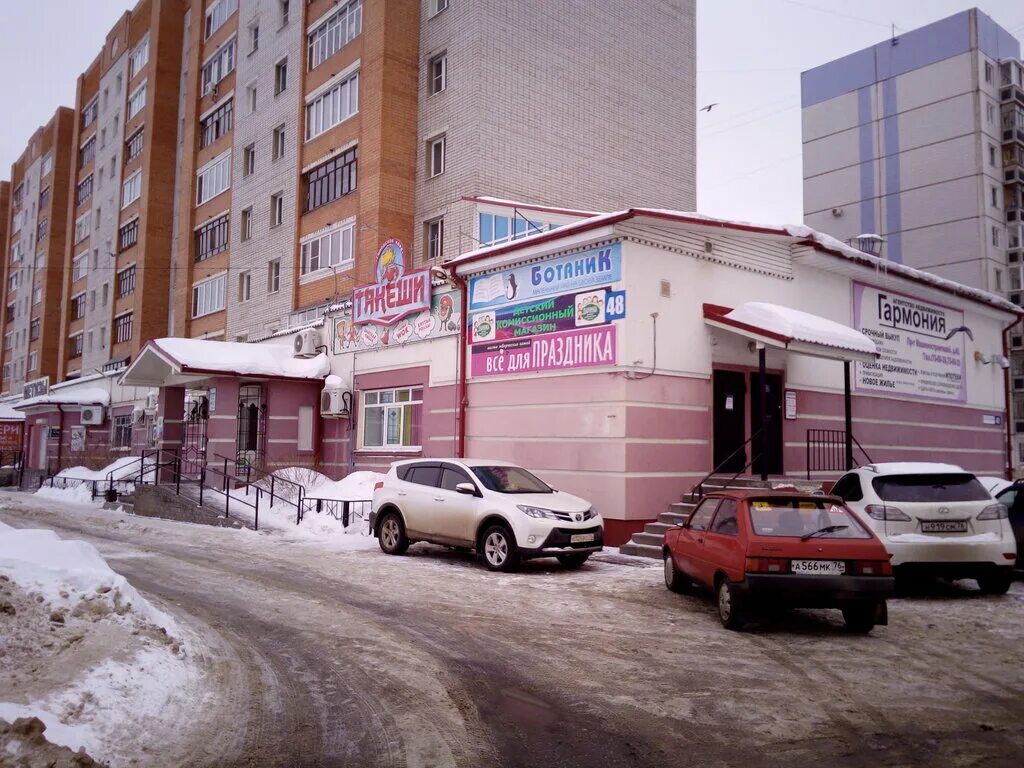 ботаник магазин цветов. ботаника ярославль. цветы ярославль букеты. цветы ярославль букеты. букеты ярославль.