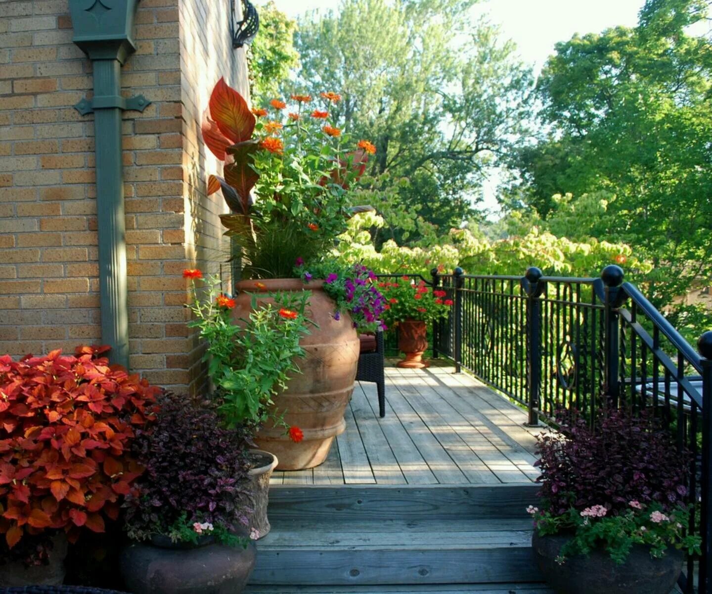 Фото цветов перед домом. Красивая дача. Красивые Дворики. Терраса в саду. Терраса в цветах.