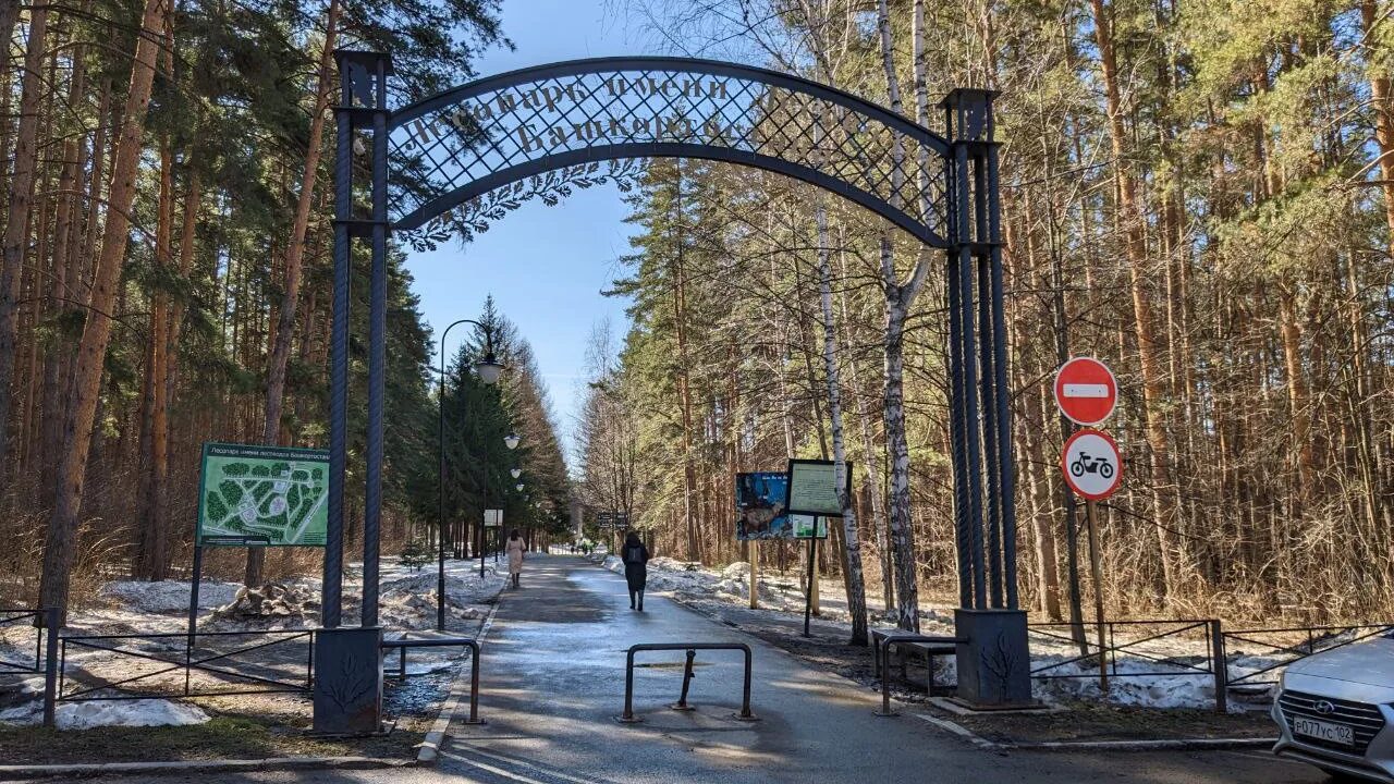 Парк лесоводов башкирии. Лесопарк лесоводов башкирии. парк лесоводов уфа зимой. парк лесоводов уфа реконструкция.
