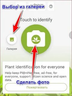 Plant net