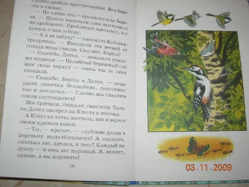 Прочитать сладко. Н сладков берёзовый сок. сорока и дятел сладков. сладков соловьев.