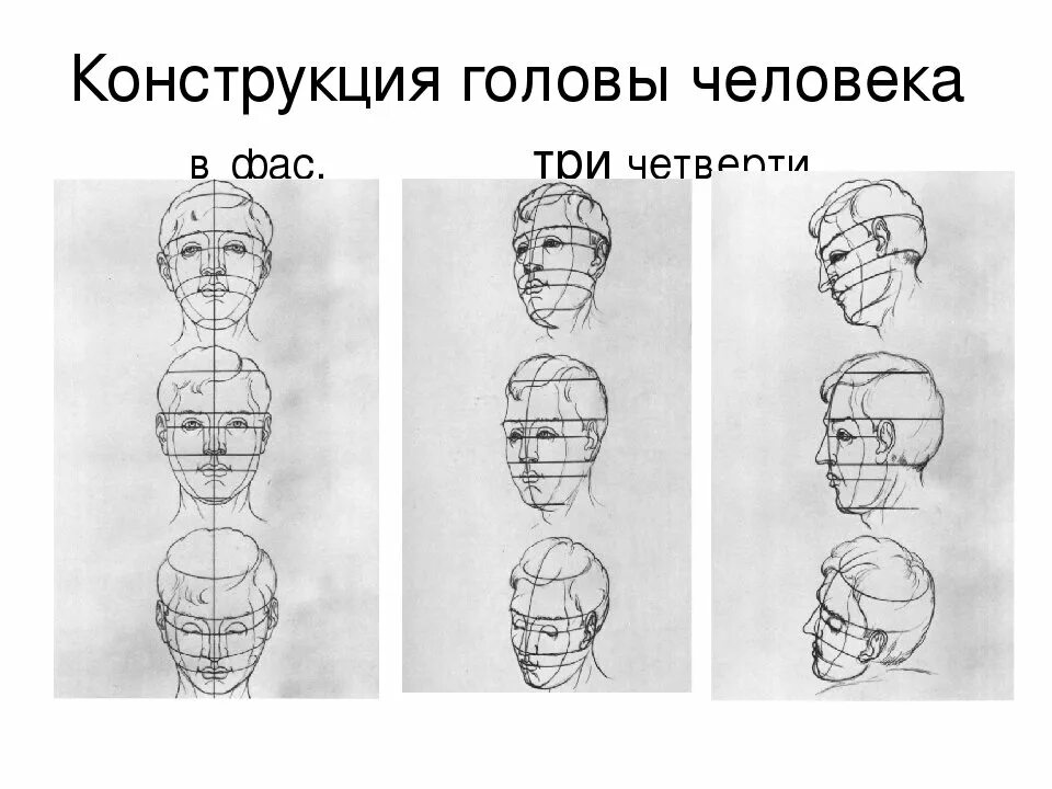 Рисунке 6 рисунок 6 схема. Конструкция головы человека. Схема построения головы человека. Конструкция головы человека в пространстве. Конструкция головы человека и ее пропорции.