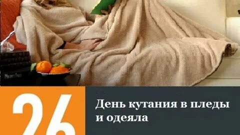 День пледа 26 октября