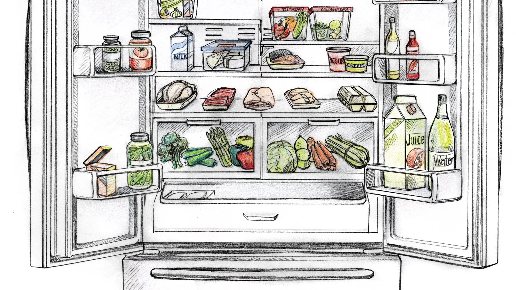 Как по английски будет холодильник. Раскраска холодильник. Холодильник с едой. Холодильник мультяшный. Открытый холодильник рисунок.