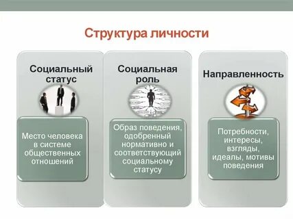 Социальный статус приведите примеры