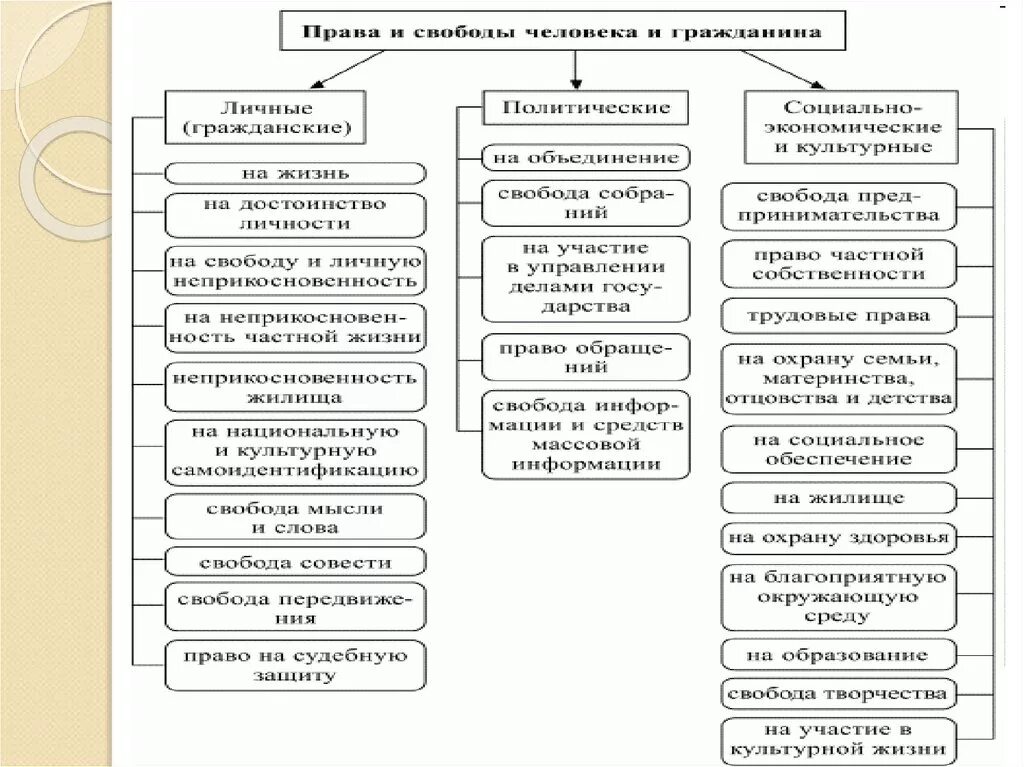 Примеры свобод граждан рф