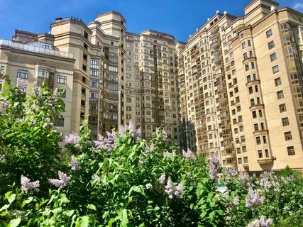 Ломоносовский 29 к 1