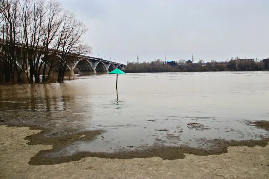 Вода в реке бия. Бия в Бийске. Река. Половодье реки. Вода река.