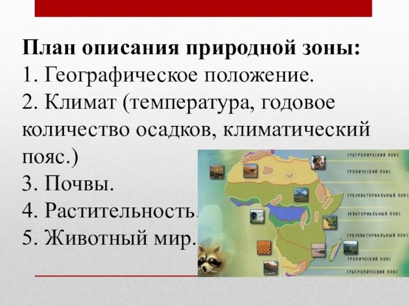 План описания природной зоны. Описание природных зон. План описания природного объекта. План характеристики природной зоны.