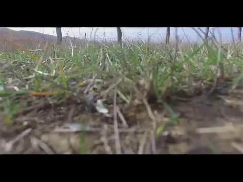 Сайтаркентская оош. Село мехельта. Сайтаркент село. Погода в пиперкенте на 10 дней. Погода в пиперкенте.