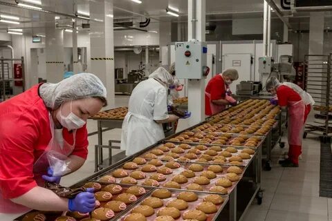 Виво маркет отзывы