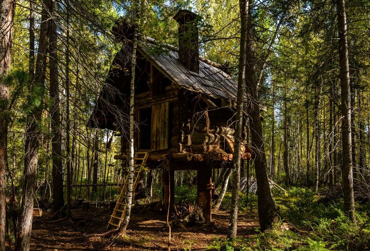 Домик лесника зеленогорск. Хижина гномов, британская колумбия. Кто жил в лесном домике. Изба в лесу. Лесная изба в лесу марий эл.