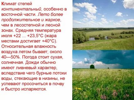 Средняя температура летом в лесостепях