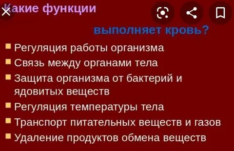 Какие функции выполняли цари
