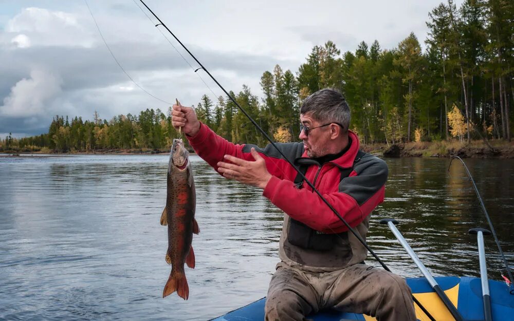 приморье рыбный край. уссури синема сергей митягин рыбалка 2020. уссури синема рыбалка. рыбалка таймень уссури. река пея сергей митягин.
