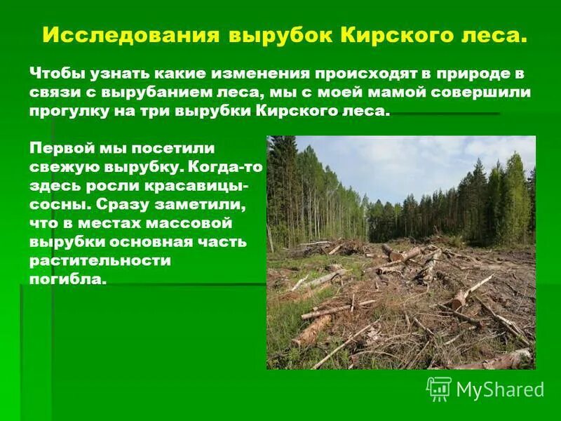 Вырубка деревьев. Лес вид сверху. Слово со значением место где вырублен лес. Вырубка леса. Рубка леса.