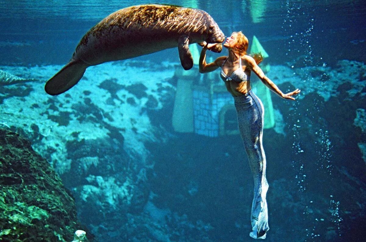 Русалка ундина сирена морская дева. Хелена третьяк mermaid ocean. Русалки настоящие живые в океане. Русалка ундина сирена морская дева. Русалки в реальной жизни красивые.