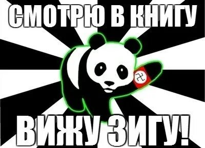 Кину зигу